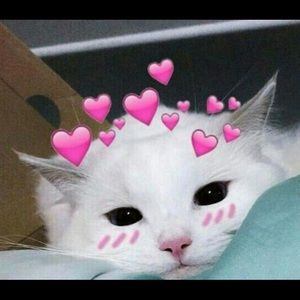 Meet your Posher, Adrian